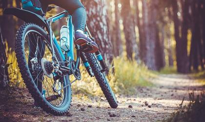 Bike im Wald