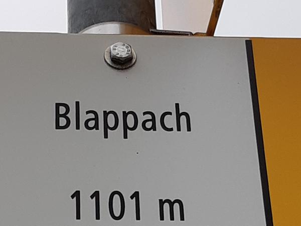 Seniorenausfahrt 2024