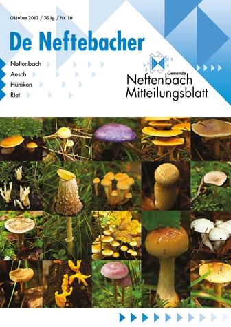 Titelbild der Oktober-Ausgabe des Neftenbacher Mitteilungsblattes mit einer Auswahl von Pilzen