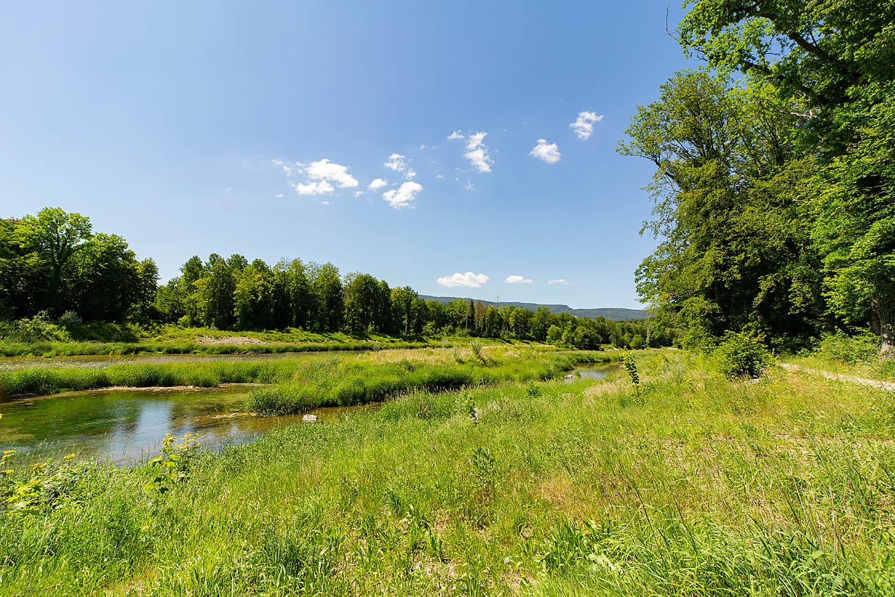 Aarelauf