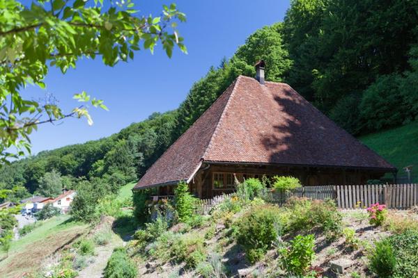 Bild Rettichhaus