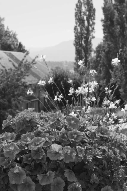 Etang des Ecrevisses