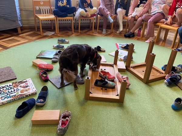 Schulhund sucht zwischen den Schuhen am Boden
