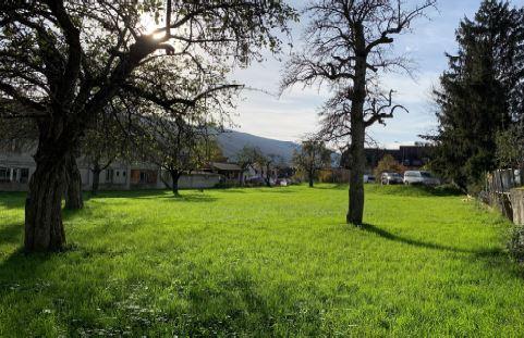 Wolfgangstrasse