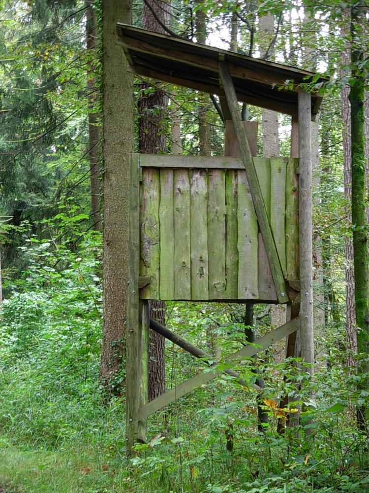 Hochsitz2