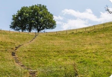 Klima Natur, Symbolbild