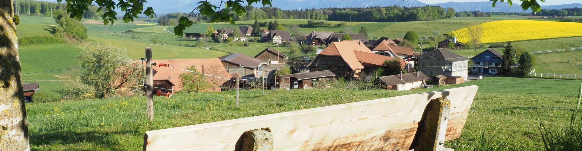 Rumendingen Foto