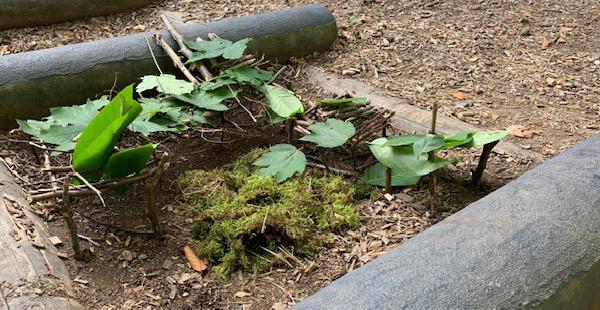 Projektarbeit im Wald