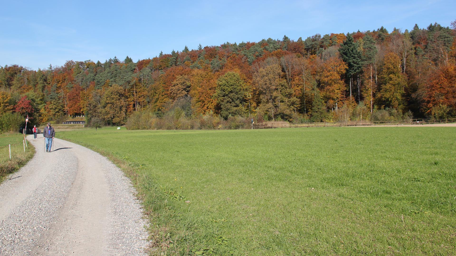 Kiesstrasse zum Schützenstand