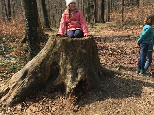 Mädchen in Baumstrunk