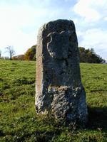 Stein
