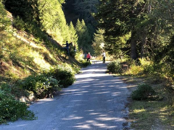 Holzertag der GTGJ