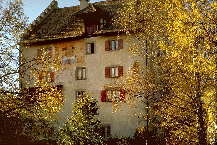 Das um 1520 wieder aufgebaute Schloss dominiert den westlichen Teil des Städtlis. Heute kann das Schloss für Tagungen und Anlässe gemietet werden. Es ist auch ein beliebter Trauungsort.   Informationen dazu unter www.schlossgreifensee.ch