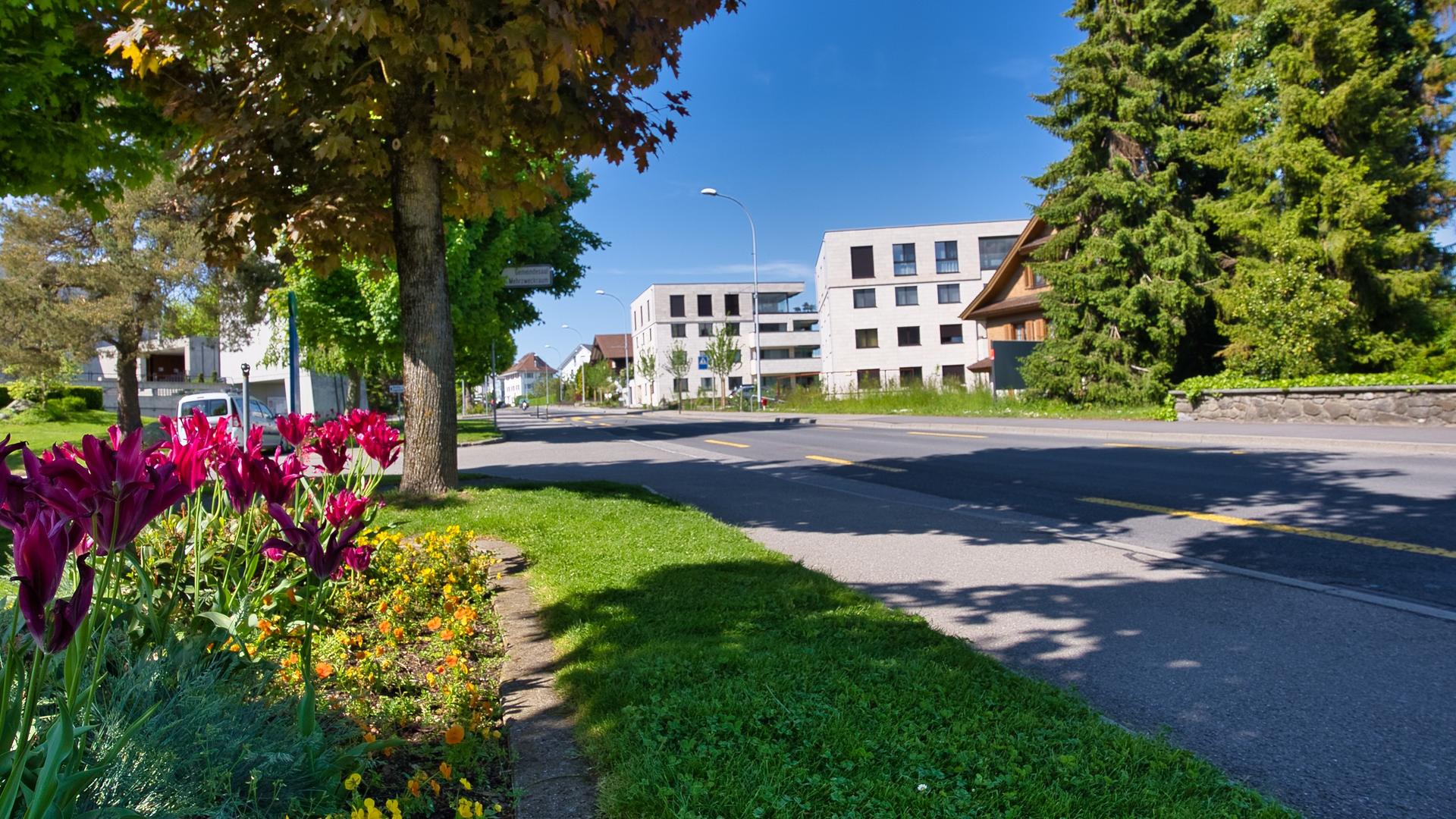 Luzernstrasse Frühling
