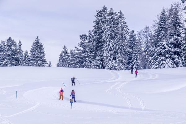 Ski de fond - nordique