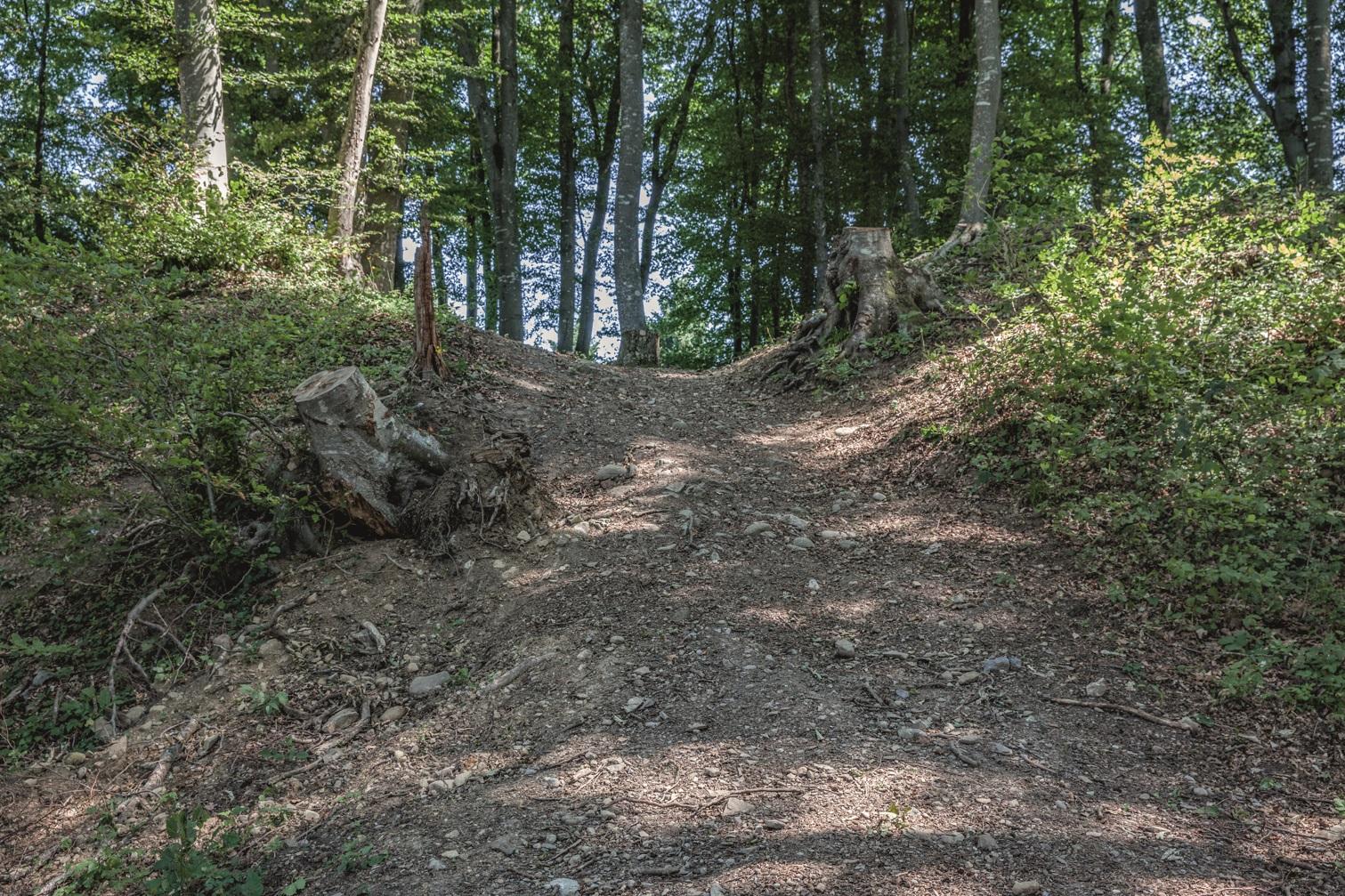 Heidenhübel Burg