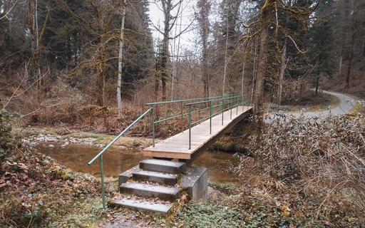 Eine Brücke im Wald