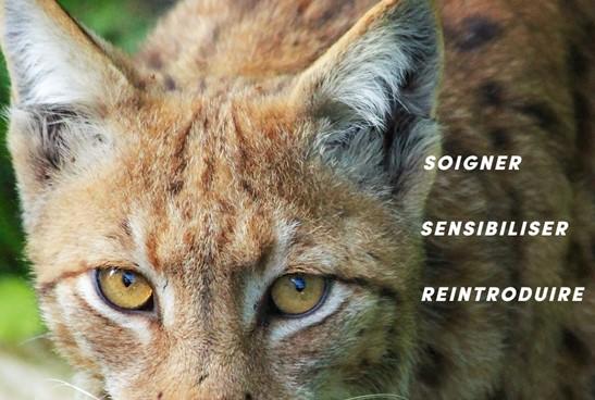 Parc animalier La Garenne 