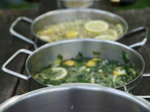 Heilkräuter werden zu Sirup verarbeitet.