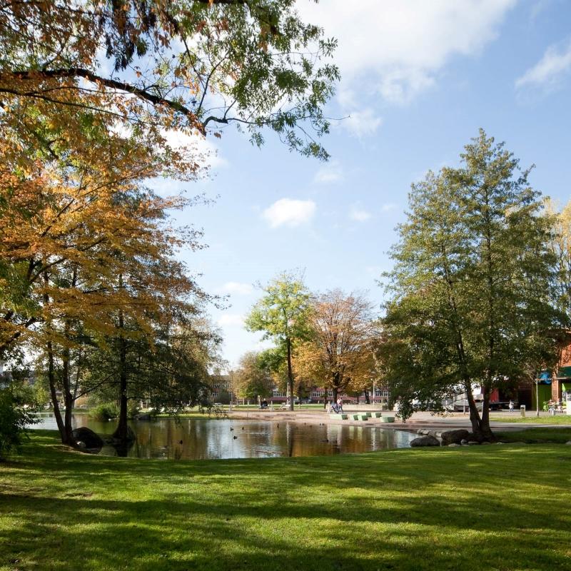 Sicht auf Stadtpark, Bäume, Wiese, Weiher