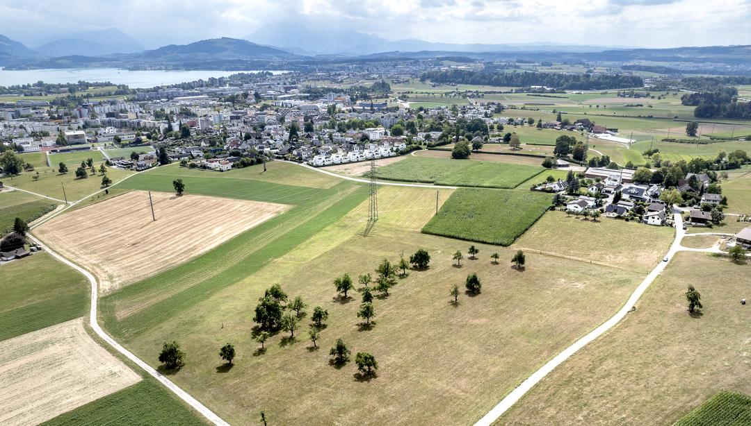 Trockene Landschaft rund um Steinhausen