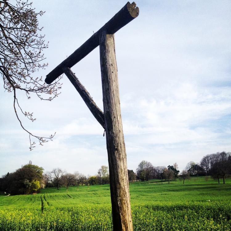 La campagne de Tournay