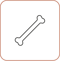 Os