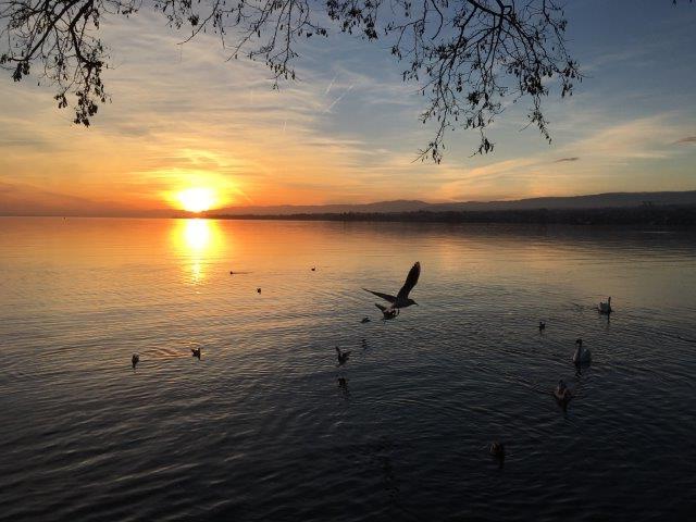 Coucher de soleil - 
03.10.2018