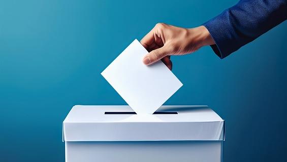 Bild Wahlurne