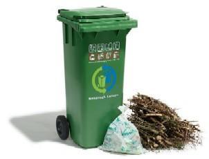 Container Grünabfuhr