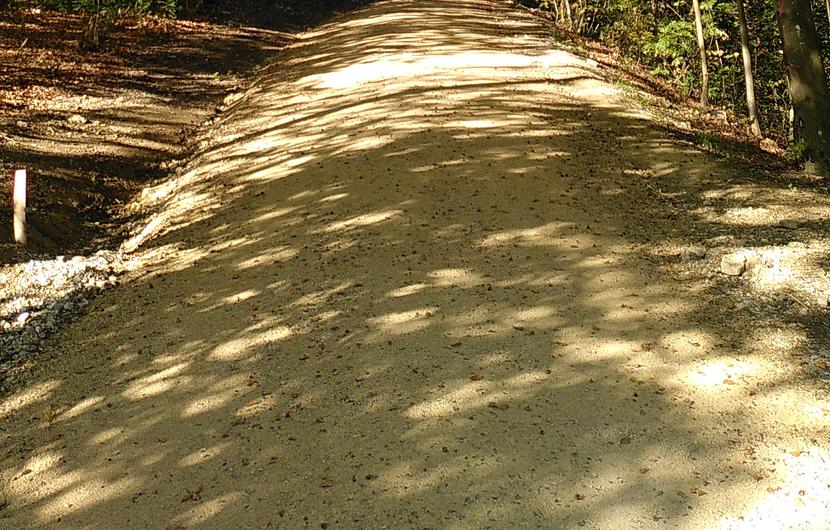 Sicherheit im Wald