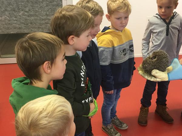 Besuch im Igelzentrum