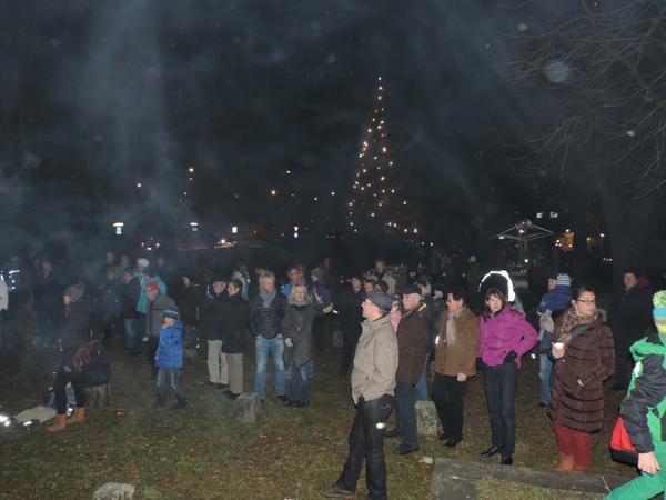 Weihnachts-Tanne