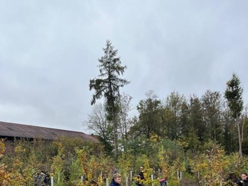 Arbeiten im Wald