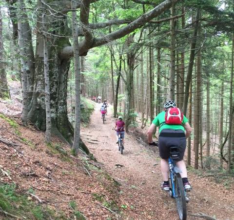 Sporttag Oberstufe