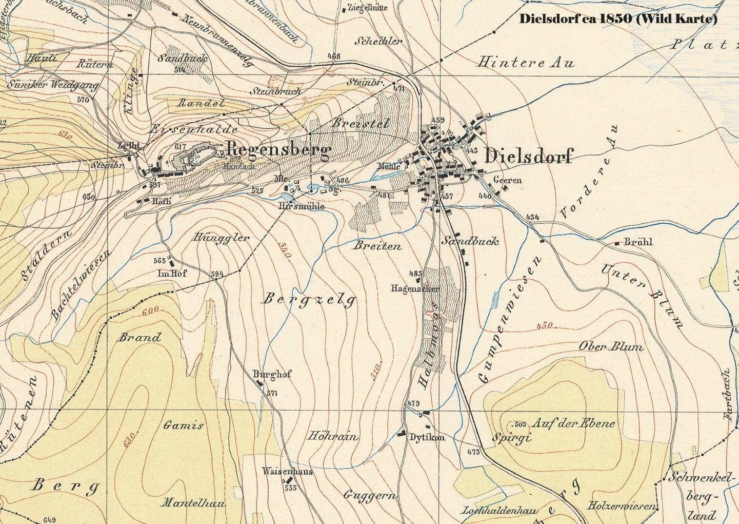Wild Karte 1850 nur Dielsdorf