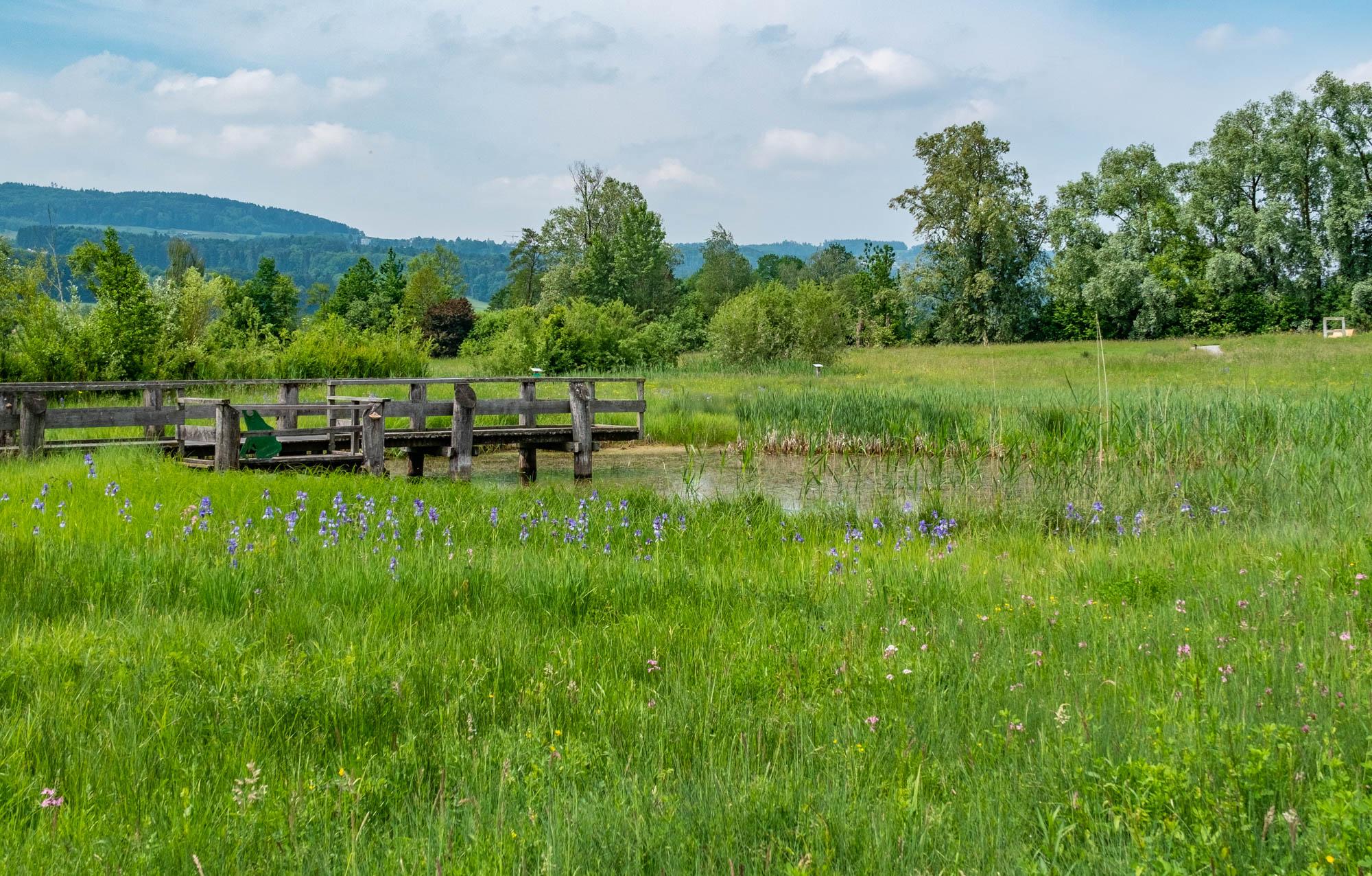 Natur und Landschaft