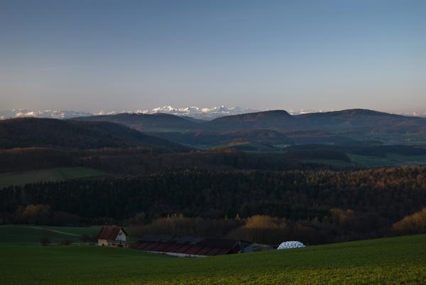 Cheisacher mit Blick auf Schynberg. Foto Edwin Rüede