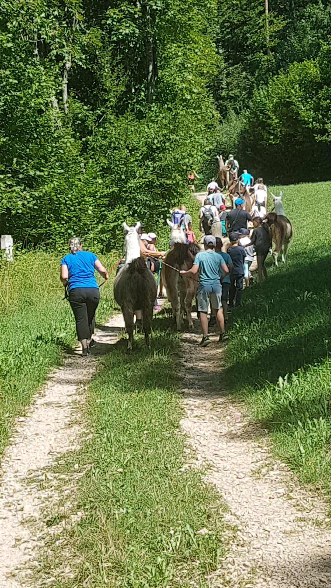 Lamatrekking