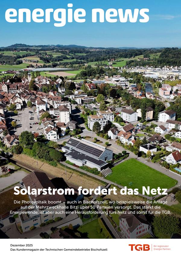 Solarstrom fordert das Netz