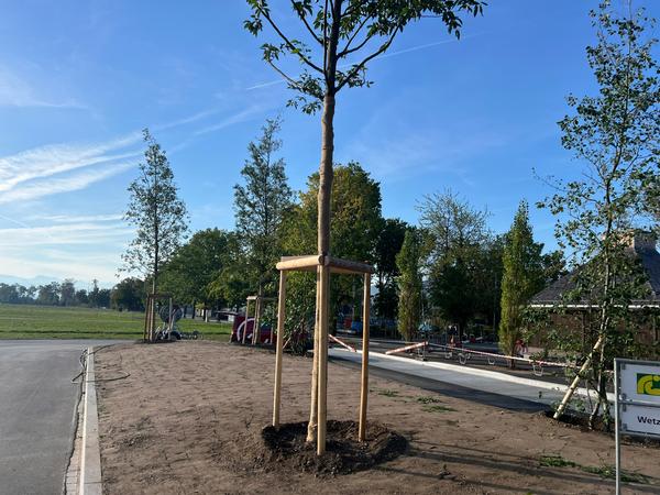 Baustelle Schifflände bei schönem Wetter