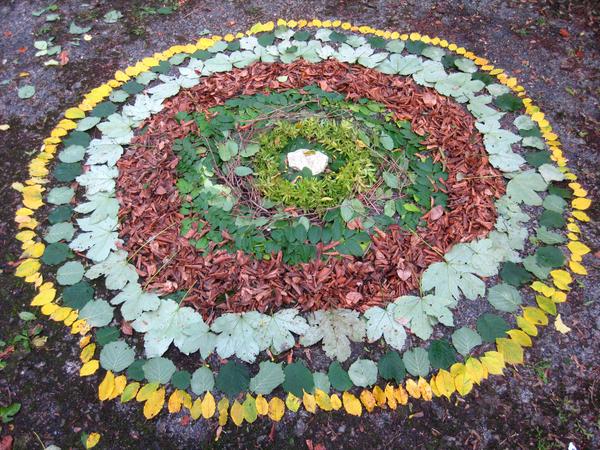 Waldmandala mit Baumblättern auf dem Waldboden