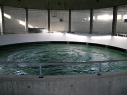 179 Mitgliedsgemeinden und -verbände gehören dem Zweckverband Bodensee-Wasserversorgung an.

Rund 4 Mio. Menschen erhalten ihr Trinkwasser täglich von der Bodenseewasserversorgung.