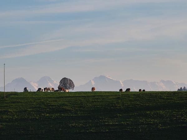 Abendimpressionen von der Lueg nach Häckligen