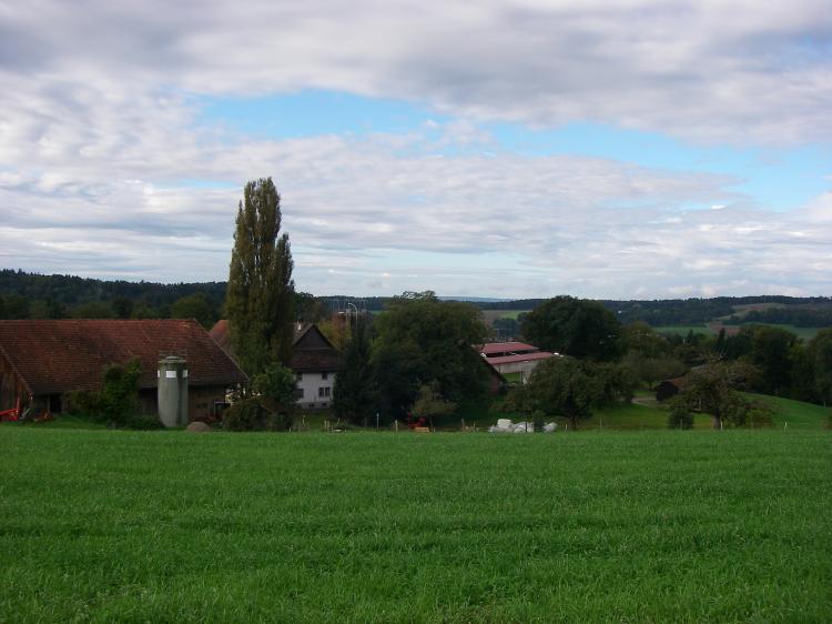 Sicht vom Paradies Richtung Trinenmoos