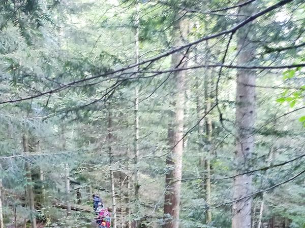 Herbstwanderung