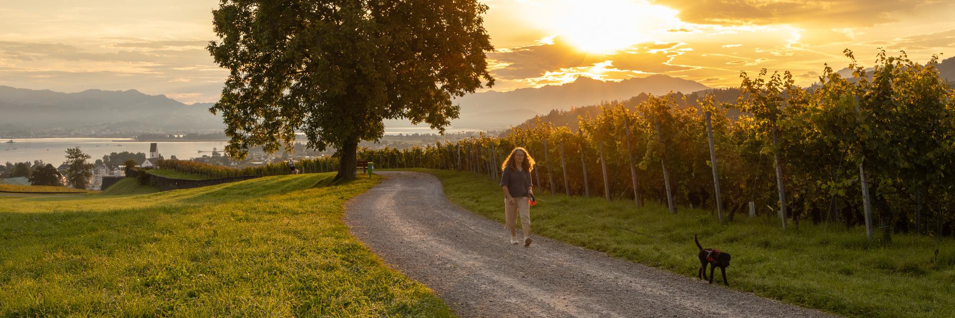 Kunstweg Freienbach mit Spaziergängerin