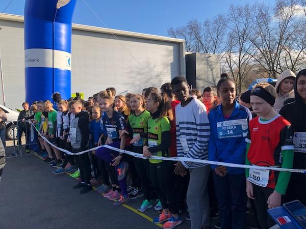 Die Läuferinnen und Läufer am Start