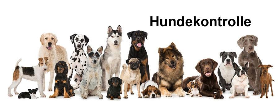 Hundekontrolle