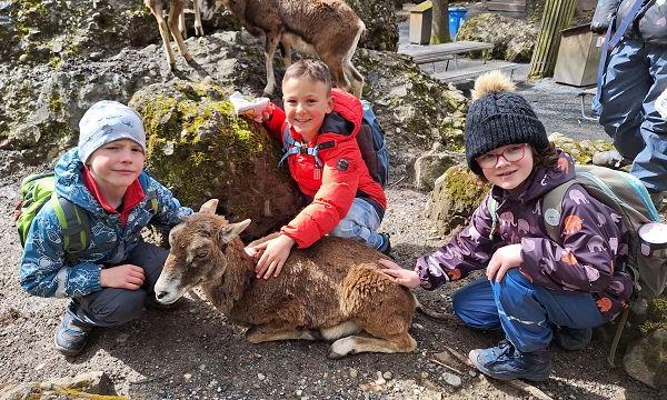 Tierpark Goldau